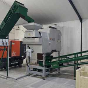 Macadamia sorting machine & X-ray